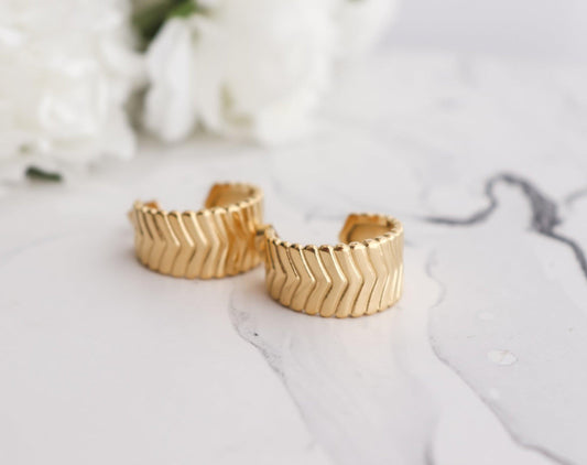 V-Stripe Hoop Earrings