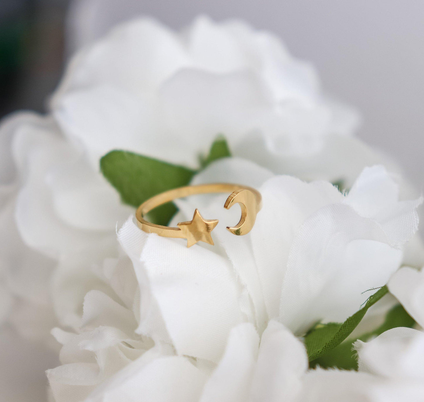 Moon Star Ring