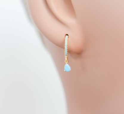 Studded Hoop Colour Dangle Earring