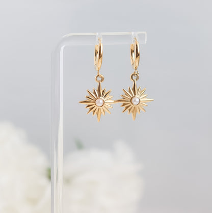 Colour Gem Star Drop Dangle Earrings