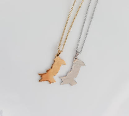 Pakistan Map Lined Necklace