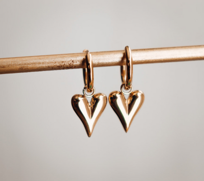 2 in 1 Dangle Heart Earrings