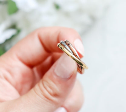 Tricolour Fidget Ring