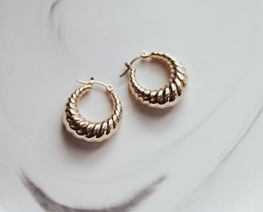 Croissant Dome Earrings