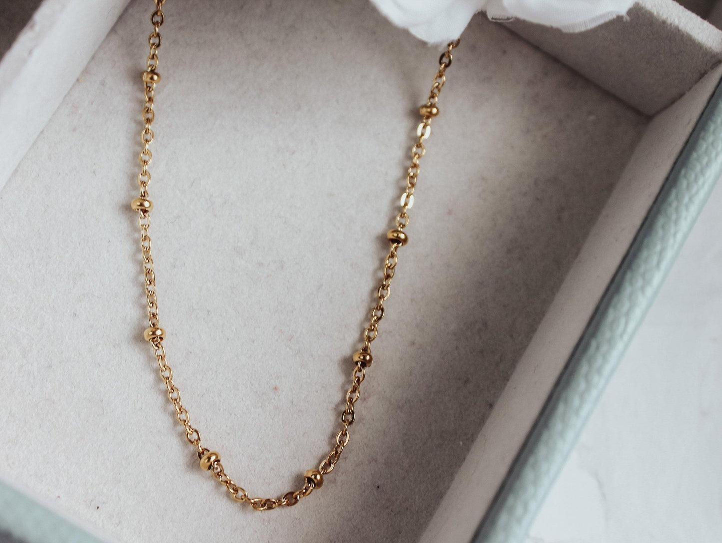 Dotted Chain Necklace