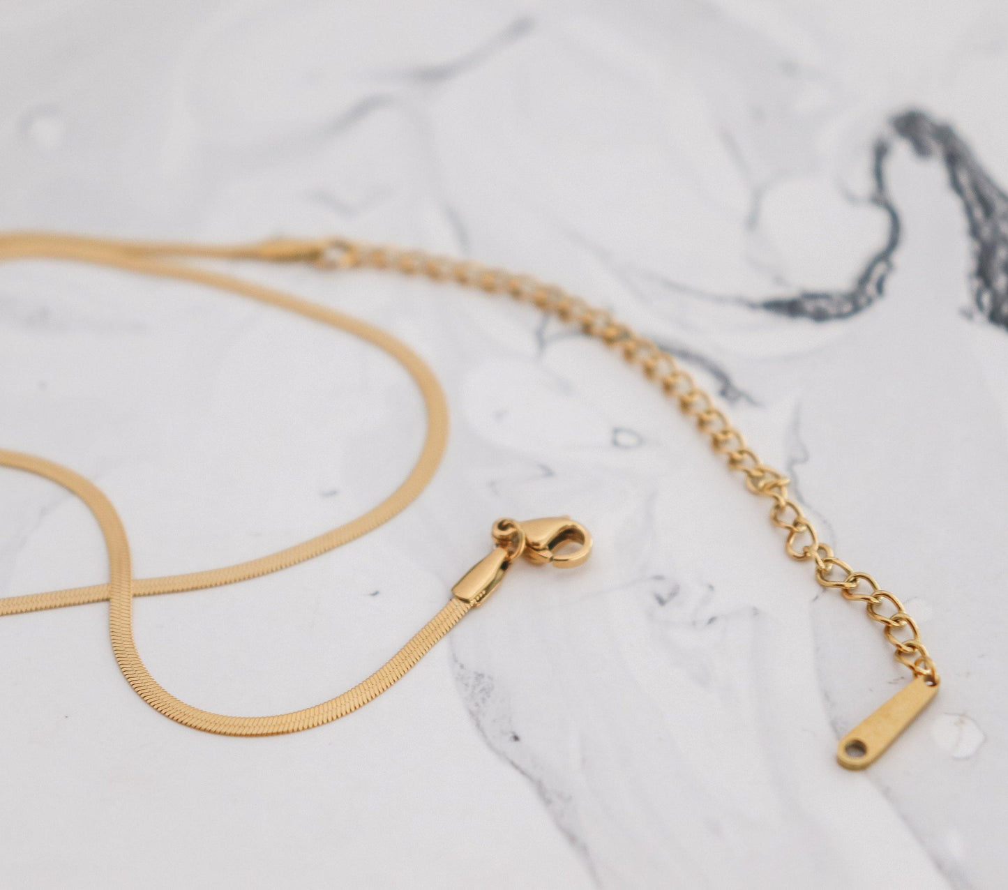 Snake Essential Chain Necklace