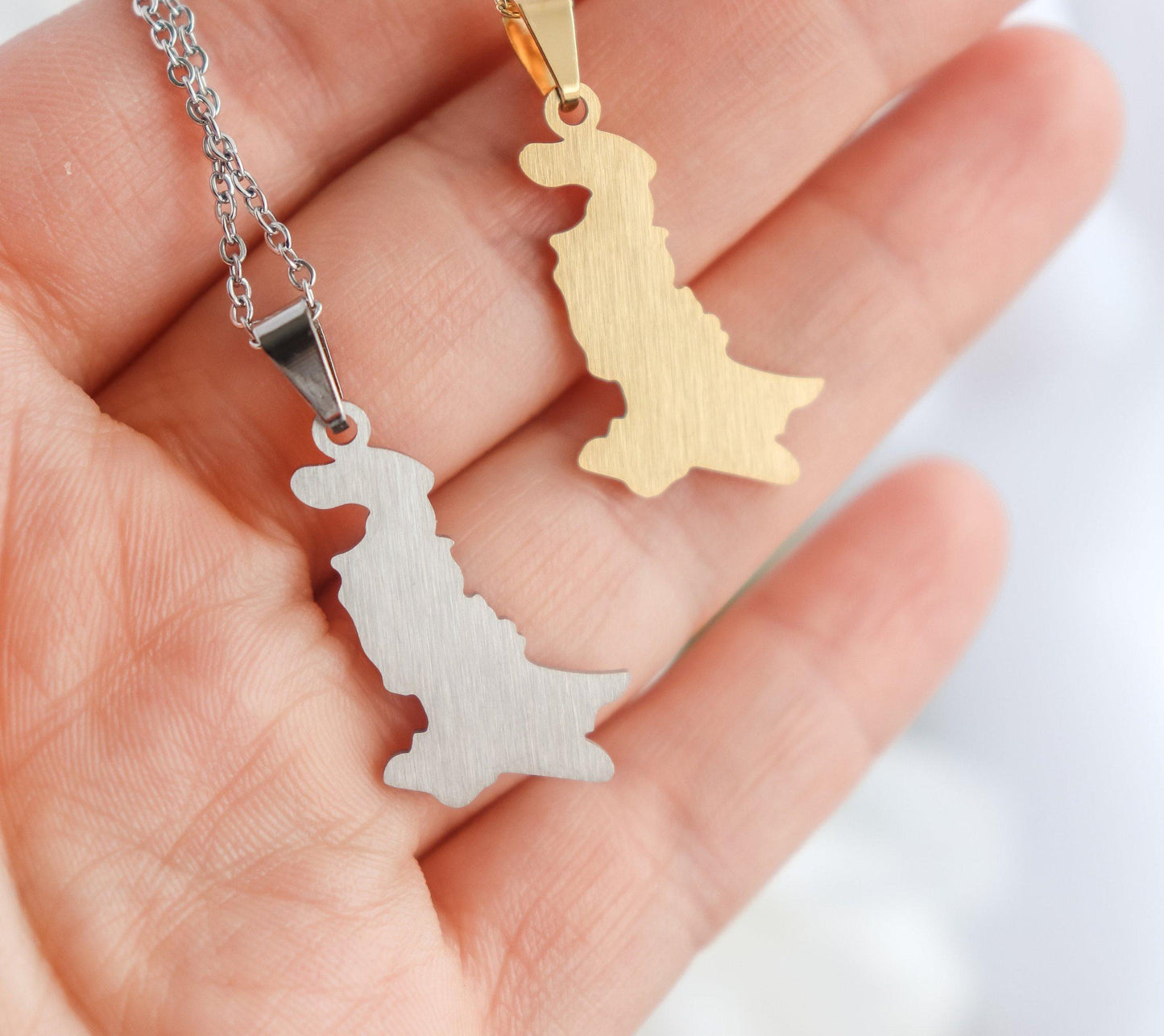 Pakistan Map Necklace